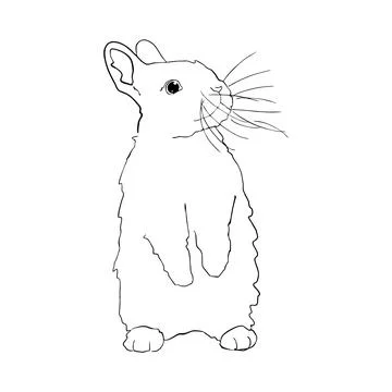 A hare with a long mustache Stock Illustration