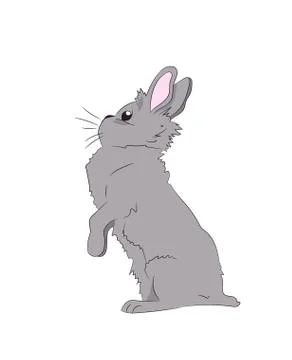 Hare sits vector Illustrazione stock