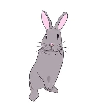 Hare sits vector Illustrazione stock