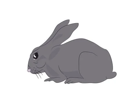 Hare sits vector Stock Illustration