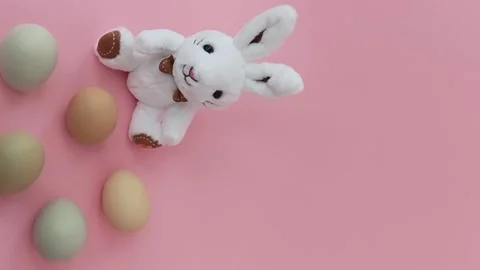 The hare is sitting on a pink background with colored eggs in pastel colors Stock Footage 236560625