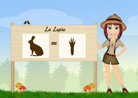 Hare tracks in the woods Stock Illustration