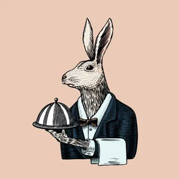 Hare waiter with a dish. Rabbit flunky or garcon. Fashion animal character. Hand Stock Illustration