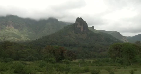 HARENNA FOREST 4 Stock Footage 256442831