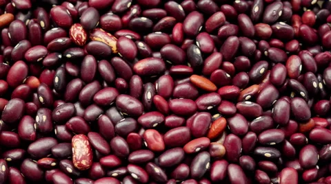 Haricot bean. Stock Footage 53991846