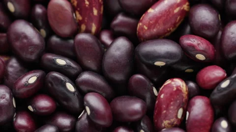 Haricot bean. Stock Footage 53993377