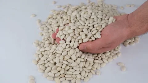Haricot bean slow motion Stockbeeldmateriaal 236451600