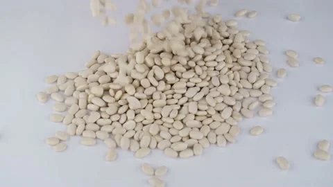 Haricot bean slow motion Stock Footage 236452363