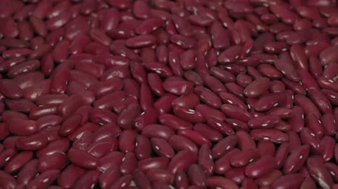 Haricot bean turning Stock Footage 33691891