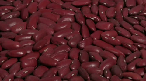 Haricot bean turning Stock Footage 33717021