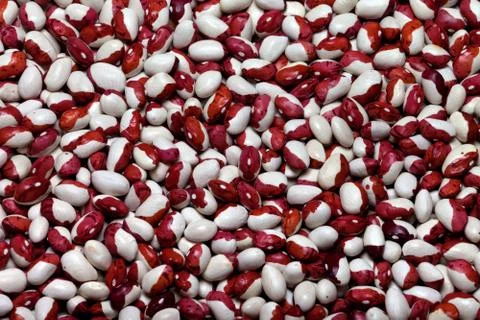 Haricot beans background Stock Photos