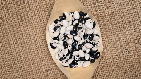 Haricot beans on burlap Stock Footage 303344387