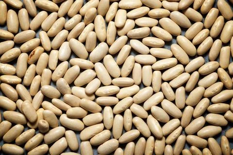 Haricot beans close up Stock Photos