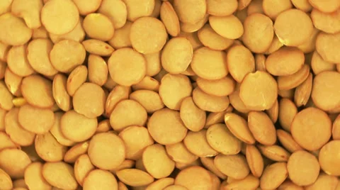 Haricot Beans Stock Footage 37573549
