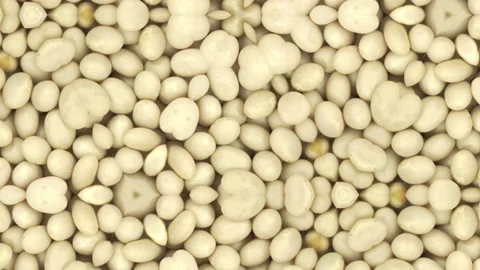 Haricot Beans. Video stock 156506849