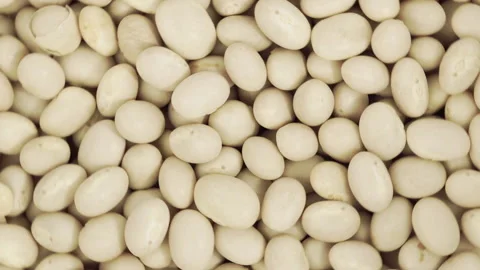 Haricot Beans Stock Footage 156506853