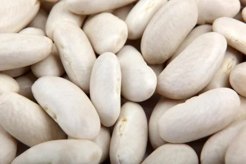 Haricot beans Stock-Fotos