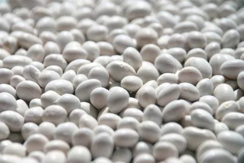 Haricot beans Foto stock