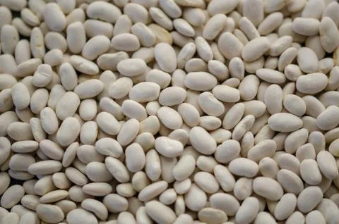 Haricot beans texture background or pattern. Raw legume food. Stock Photos