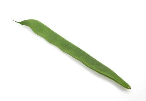 HARICOT COCO PLAT Stock Photos