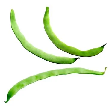 Haricot. Stock Photos