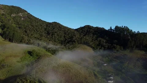 Haritha Kanda Drone Shot Moving Backwards Stock Footage 313976920