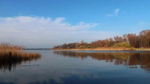 Harku lake at autumn Stock Footage 219545355