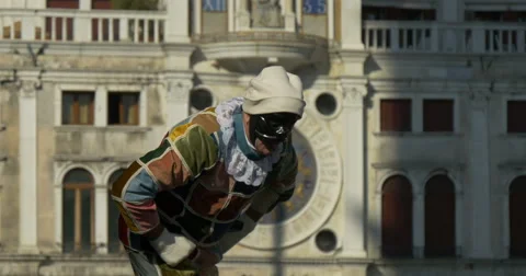 Harlequin Stock Footage 47922246