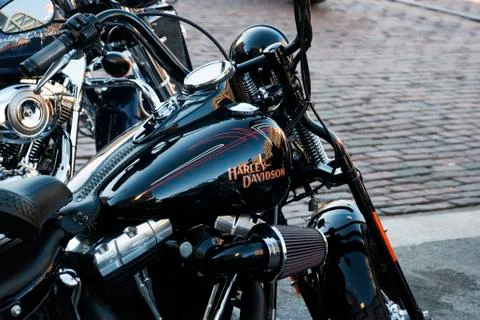 Harley Cross Bones Stock Photos