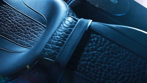 Harley Davidson 110 Screamin Eagle Stock Footage 101098486