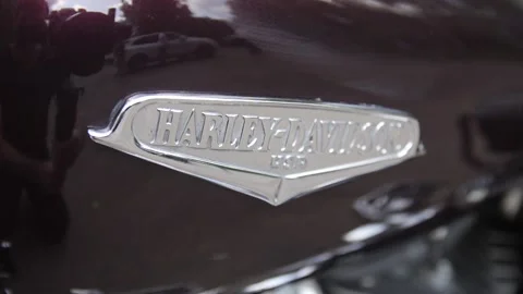 Harley Davidson Emblem Stock Footage 134207128