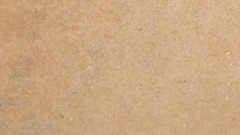 Harmful gray mold grows on the eaves in ... | Stock Video | Pond5