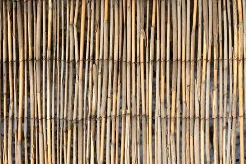 Harmonic pattern of bamboo fence background Stock Photos