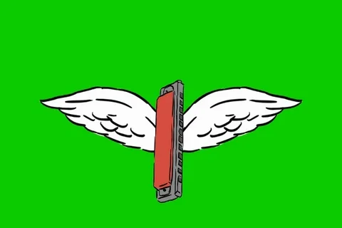 Harmonica - animation - wings - green sc... | Stock Video | Pond5