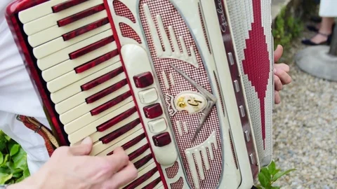 Harmonica man Stock Footage 71915512