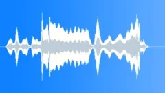 Harmonica Riff 5 Sound Effect
