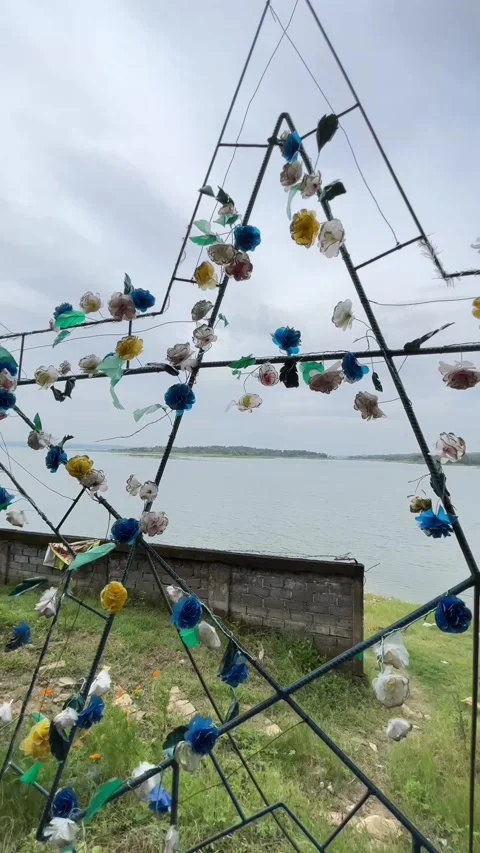 Harmonious Coexistence: Trees and Lakes in their Natural Habitat Stock Footage 233141827