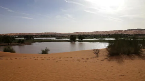 Harmonious desert lake Stockbeeldmateriaal 68004996