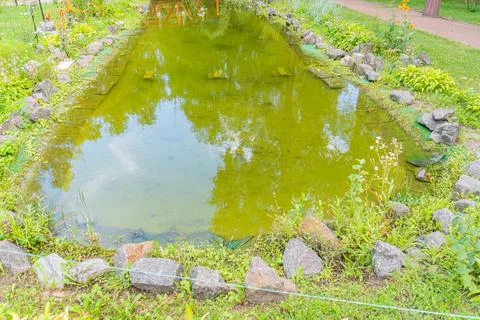 A harmonious garden showcases a still, rectangular pond surrounded by lush gr Stock Photos