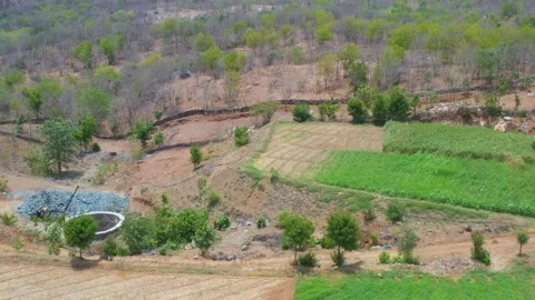 Harmonious Rural Landscape with Fields and Water Reservoir Video stock 310593211