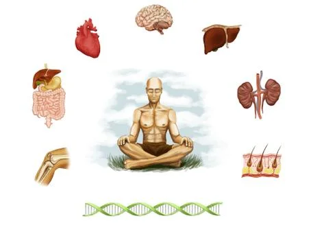 Harmony between man and nature Stock Illustration