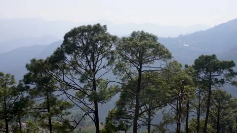 Harmony Between Mountains, River, and Daily Living 库存影片 337623117
