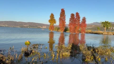 Harmony between nature and modern infrastructure landscape Stock Footage 323525872
