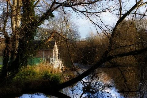 Harmony of Elements: House, Tree Branches, and Lake Stock Photos