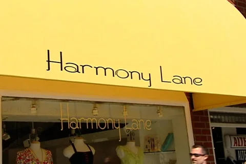 Harmony Lane Boutique 動画素材 589053