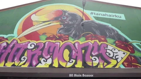 Harmony mural of hornbill and Bunga Raya flowers, Kuching, Malaysia, Borneo Stock Footage 157066699