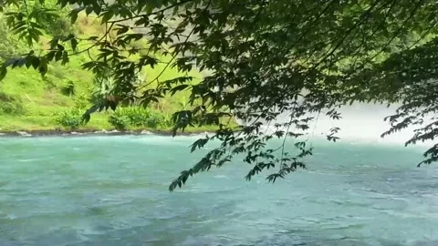 Harmony Of Nature 1 Video stock 293141584