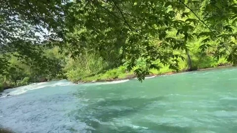 Harmony Of Nature 2 Video stock 293141577