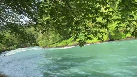 Harmony Of Nature 3 Video stock 293141581