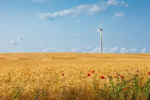 Harmony of Nature and Technology Stock Photos